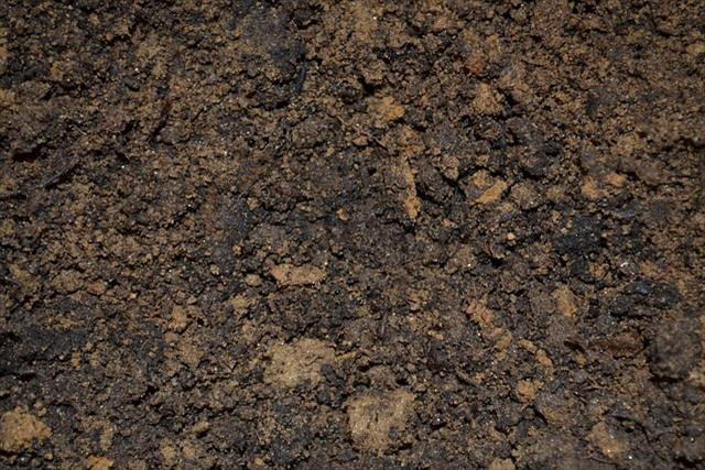 腐葉土と堆肥（コンポスト）の違いとは
